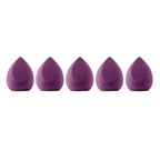 Premium Makeup Sponge Set