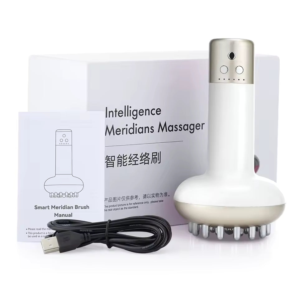 Electric Face Massager