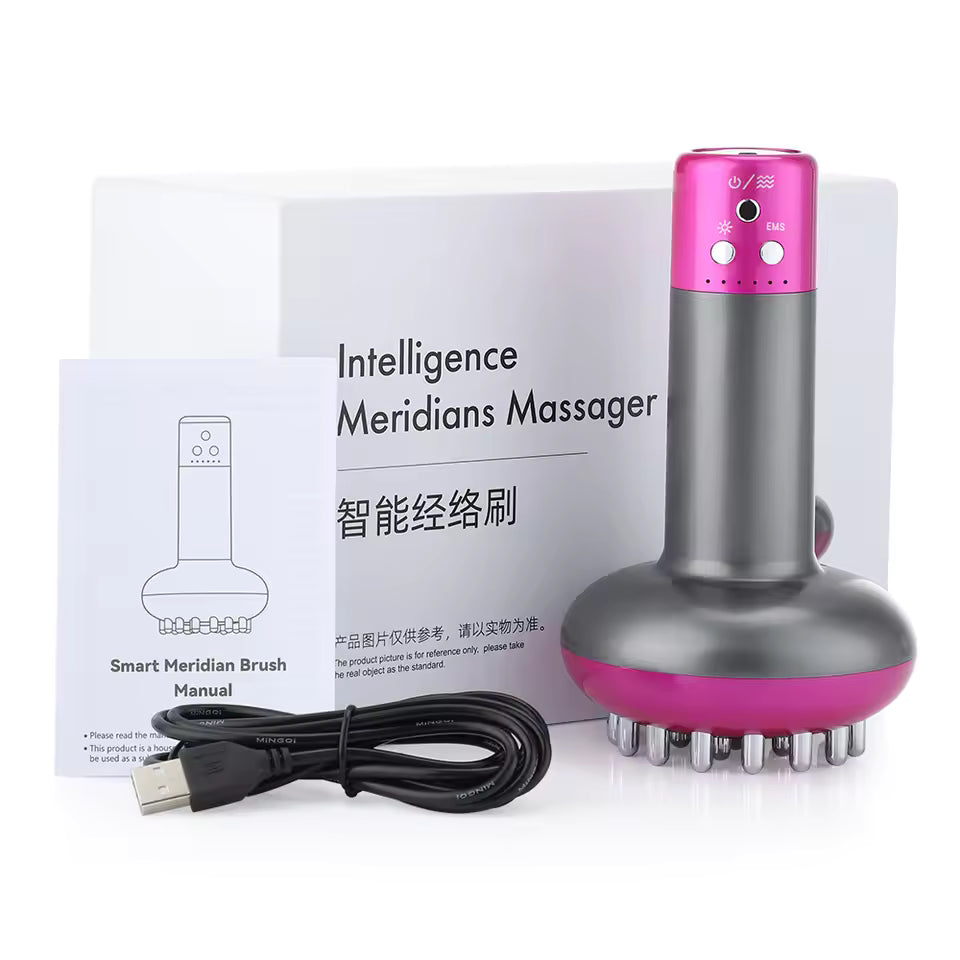 Electric Face Massager